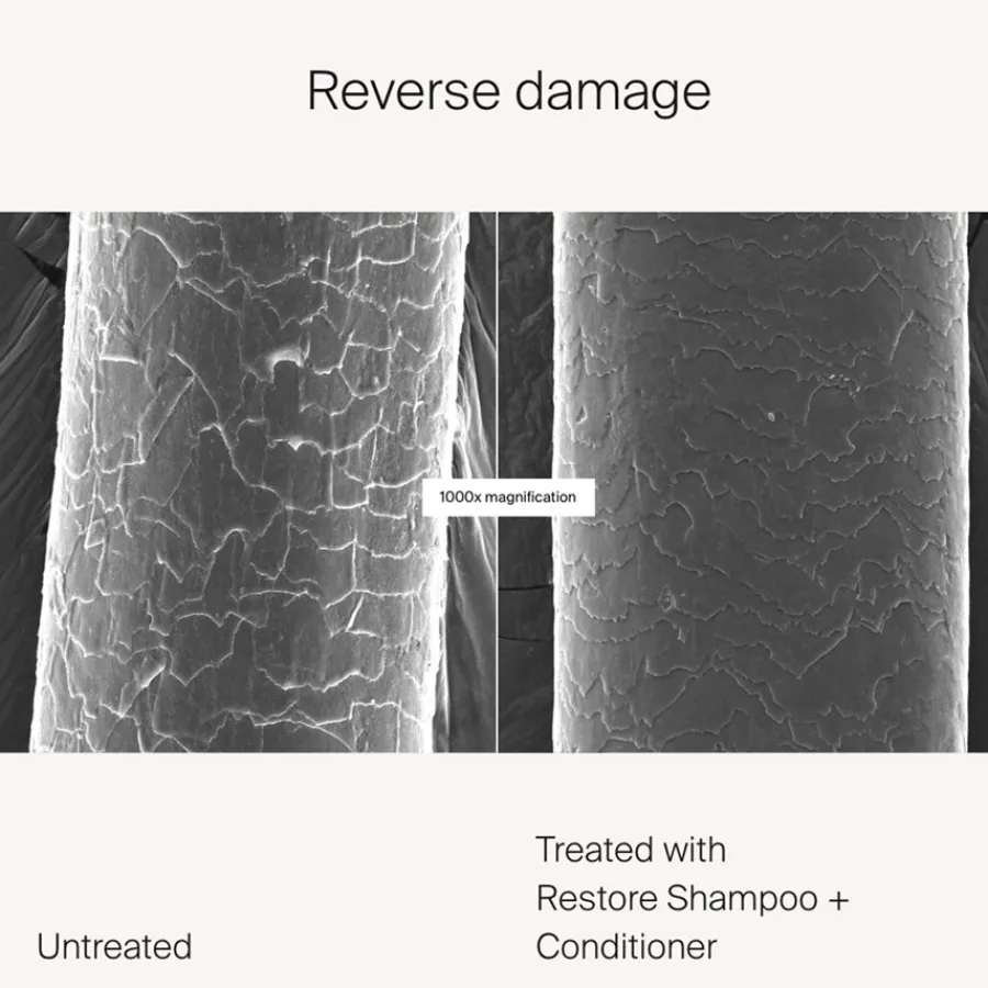 Living Proof Restore Conditioner von Discount