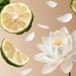 RITUALS Soleil d'Or Eau de Parfum Spray