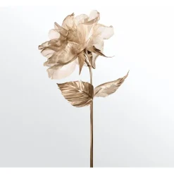 Tiffany u0026 Co. Rose Gold Eau de Parfum Spray von Tiffany & Co.