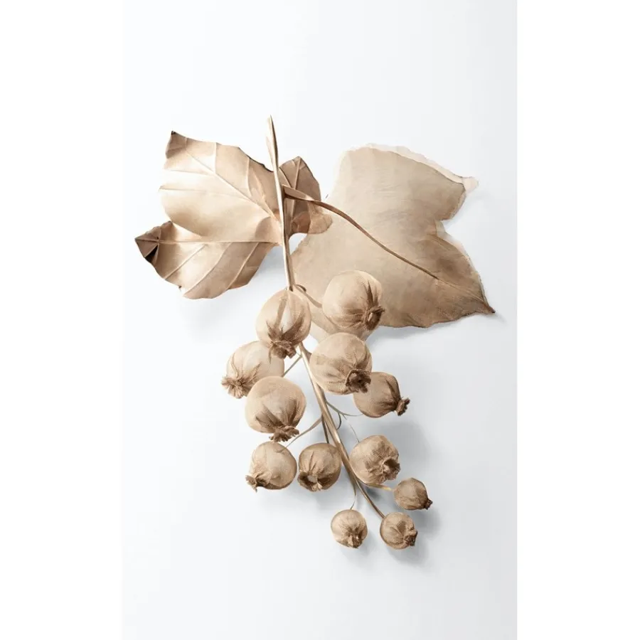 Tiffany u0026 Co. Rose Gold Eau de Parfum Spray von Tiffany & Co.