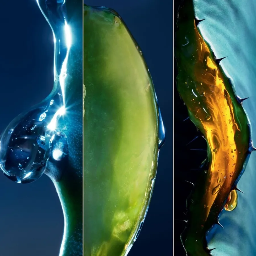 DIOR Sauvage Gesichtsserum Mit der Kraft des Kaktus von