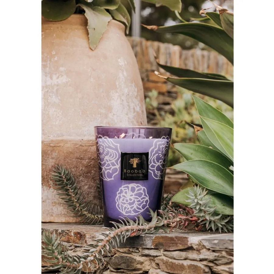 Baobab Scented Candles Kerze Roses Dark von