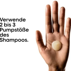 Lu2019Oru00E9al Professionnel Paris Serie Expert Absolut Repair Professional Shampoo von L’Oréal Professionnel Paris