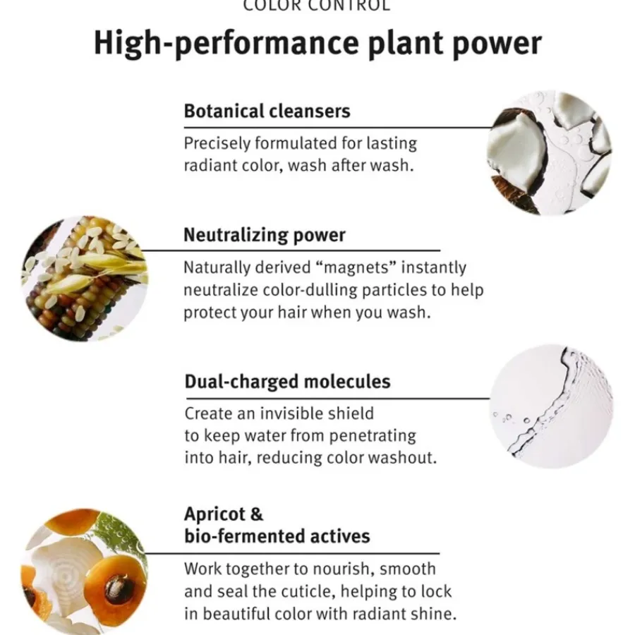 Aveda Shampoo Color Control Rich Shampoo von