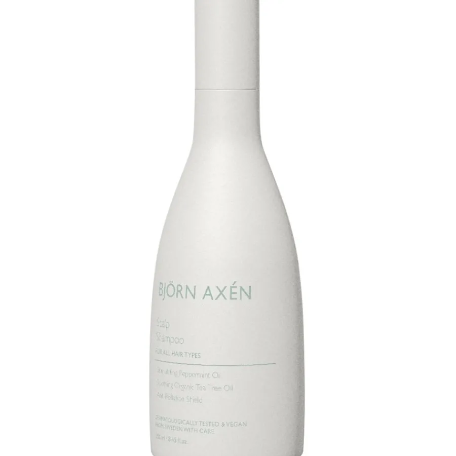 Bjou0308rn Axeu0301n Shampoo Scalp Shampoo von Bjo¨rn Axe´n Best