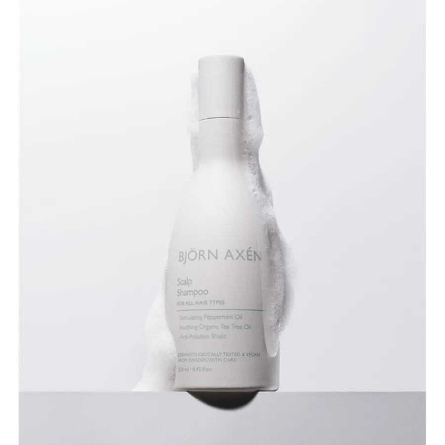 Bjou0308rn Axeu0301n Shampoo Scalp Shampoo von Bjo¨rn Axe´n Best