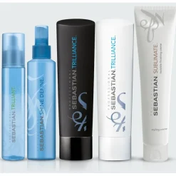 Sebastian SHINE  Shine Define Hold Spray von