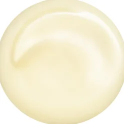 Shiseido Total Revitalizer Eye Best