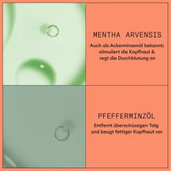 Nioxin Sichtbar dünner werdendes Haar Scalp Therapy Revitalising Conditioner Colored Hair Progressed Thinning von Hot