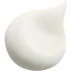 Sisley Emulsion Ecologique