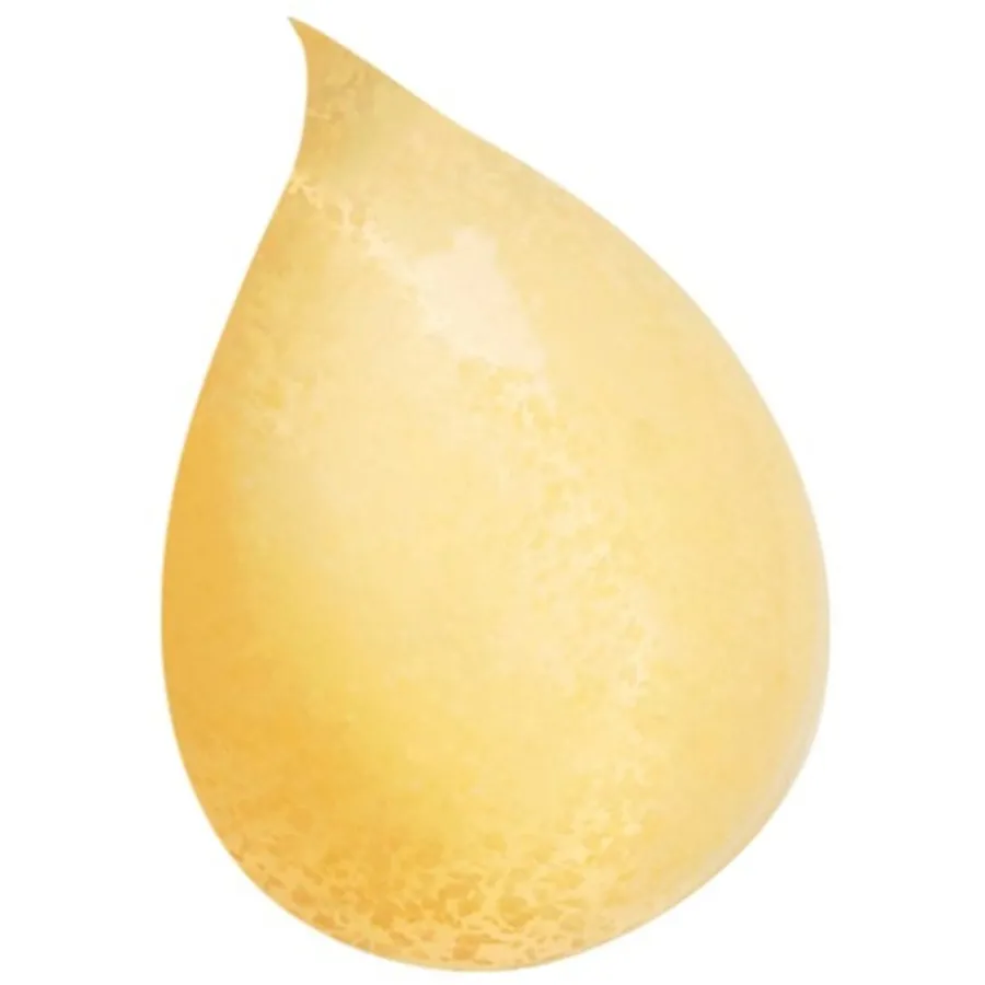 Sisley Gel Nettoyante Gommant Visage Discount