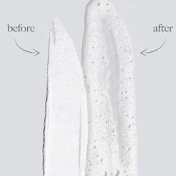 Dermalogica Skin Health Daily Microfoliant von New