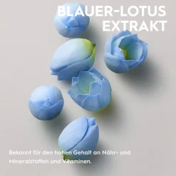 Kerasilk Specialists Volumen Spray von