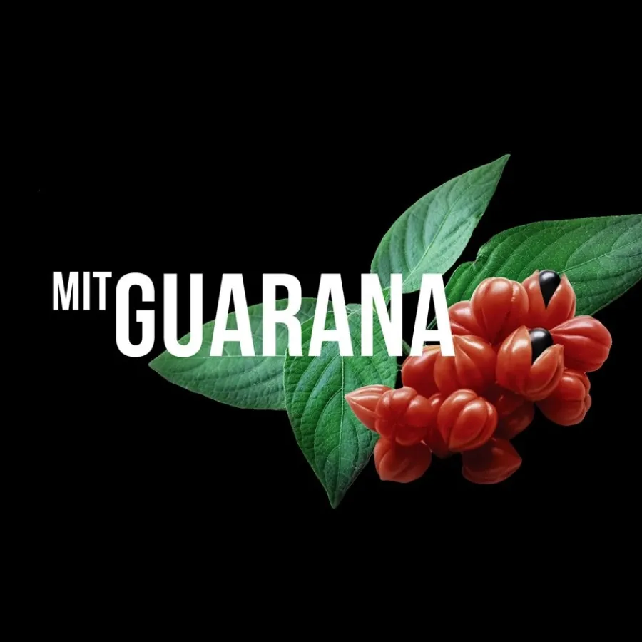 Sebastian Styling The Fixer High Hold Hairspray von Best