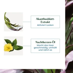 Renu00E9 Furterer Sublime Curl Locken-Shampoo von René Furterer Sale