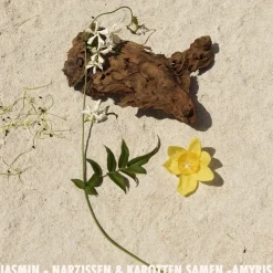 Jil Sander Sun Eau de Parfum Spray von