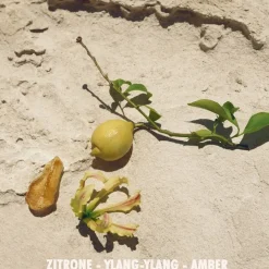 Jil Sander Sun Eau de Toilette Spray von Hot