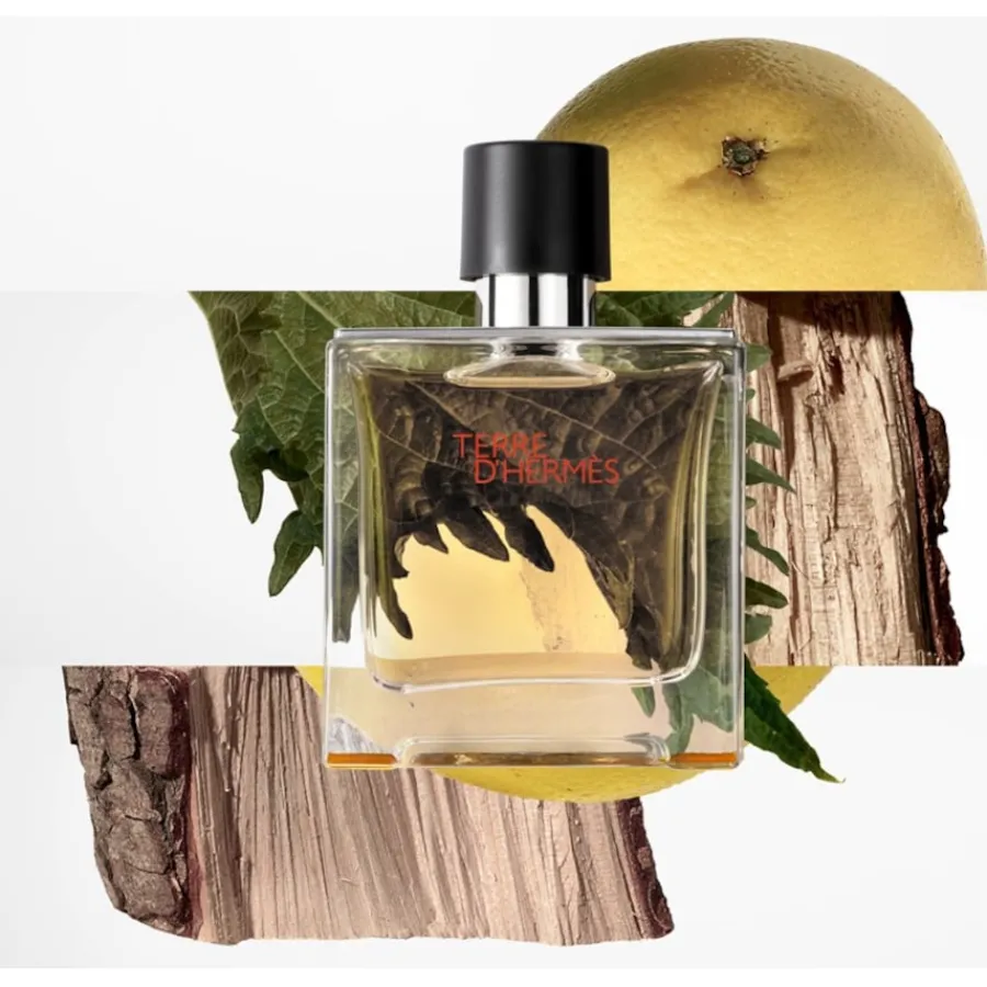 Hermès Terre d’Hermès Parfum Spray von Hermès