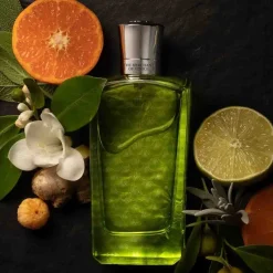 THE MERCHANT OF VENICE Nobil Homo Colonia Veneziana Eau de Parfum Spray