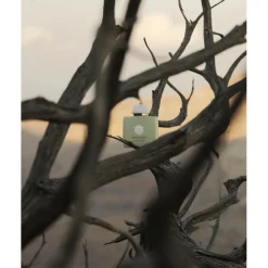 Amouage The Odyssey Collection Eau de Parfum Spray Existence von Hot