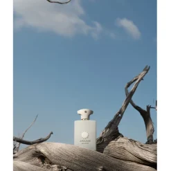 Amouage The Odyssey Collection Eau de Parfum Spray Decision von Outlet