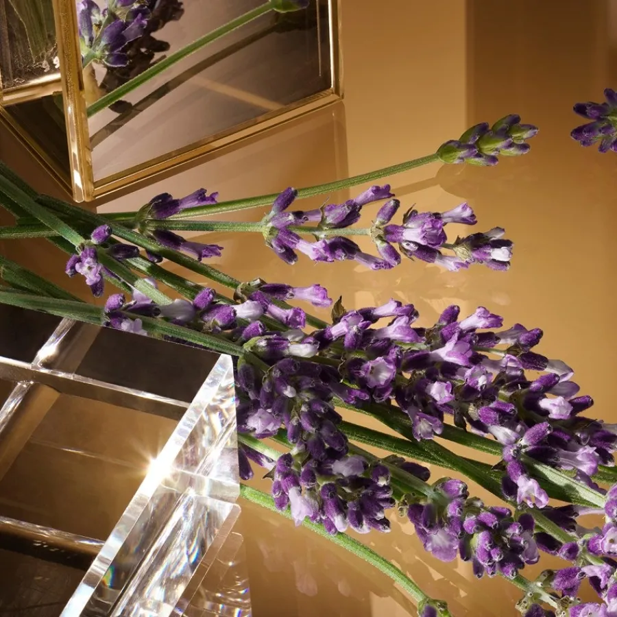 Dolceu0026Gabbana The One For Men Eau de Toilette Spray von Dolce&Gabbana