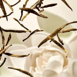 RITUALS The Ritual Of Karma Trial Set von