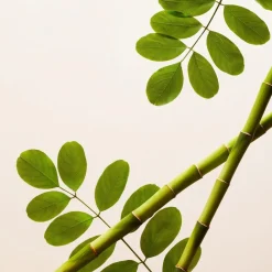 RITUALS The Ritual Of Namaste Skin Brightening Face Exfoliator von