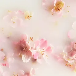 RITUALS The Ritual Of Sakura Car Air Freshener von