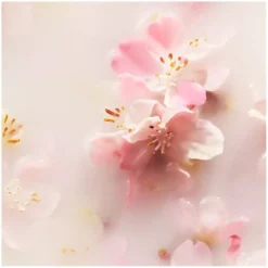 RITUALS The Ritual Of Sakura The Ritual of Sakura Auto Geschenkset von