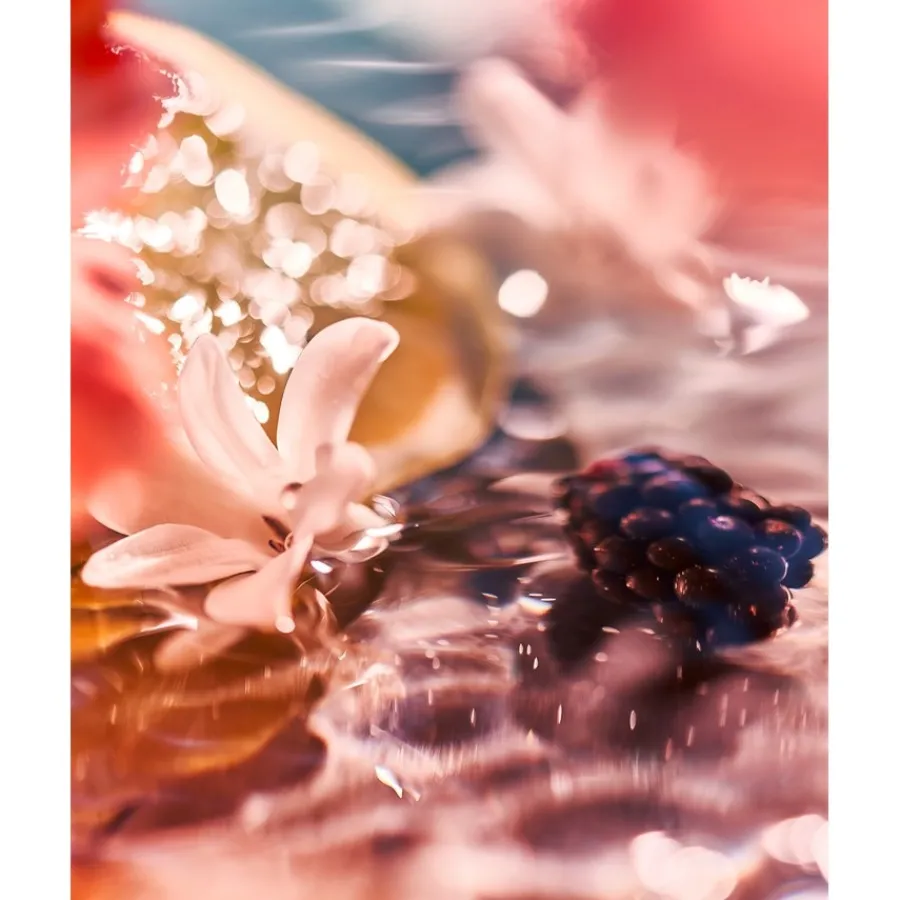 Roja The Women’s Collection Eau de Parfum Elysium Pour Femme von