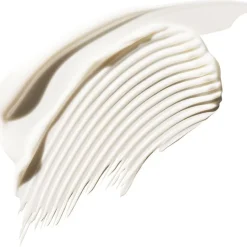 Aveda Treatment Leave-In Treatment Rich von