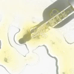 OSKIA LONDON Treatment Restoration Oil von