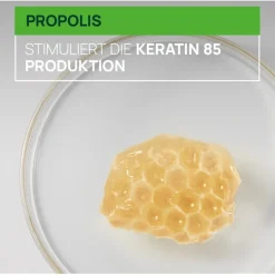 Renu00E9 Furterer Triphasic Reactional Kur bei temporärem Haarausfall von René Furterer