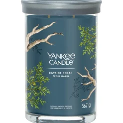 Yankee Candle Tumbler Bayside Cedar von