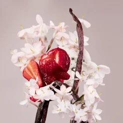 Valentino Valentina Eau de Parfum Spray von Discount