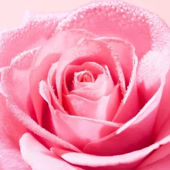 Nuxe Very Rose Radiance Face Scrub von