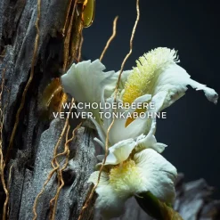 GUERLAIN Vetiver Parfum von Sale