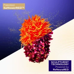 Shiseido Vital Perfection Concentrated Supreme Cream von Outlet