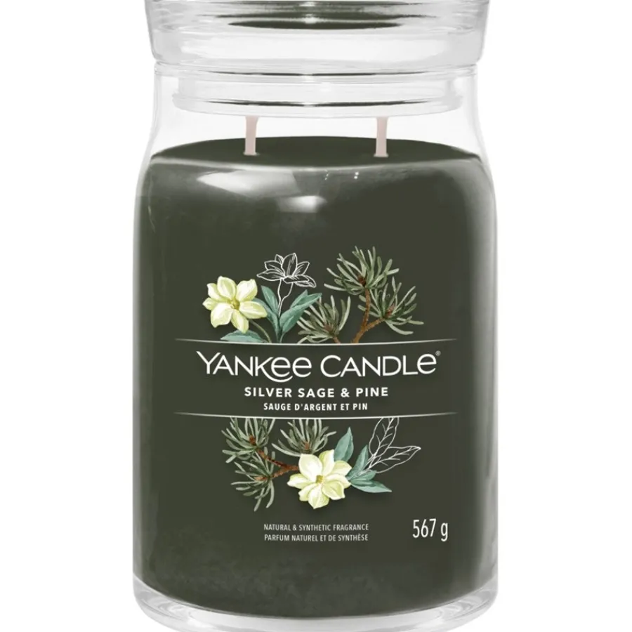 Yankee Candle Votivkerze im Glas Silver Sage + Pine von