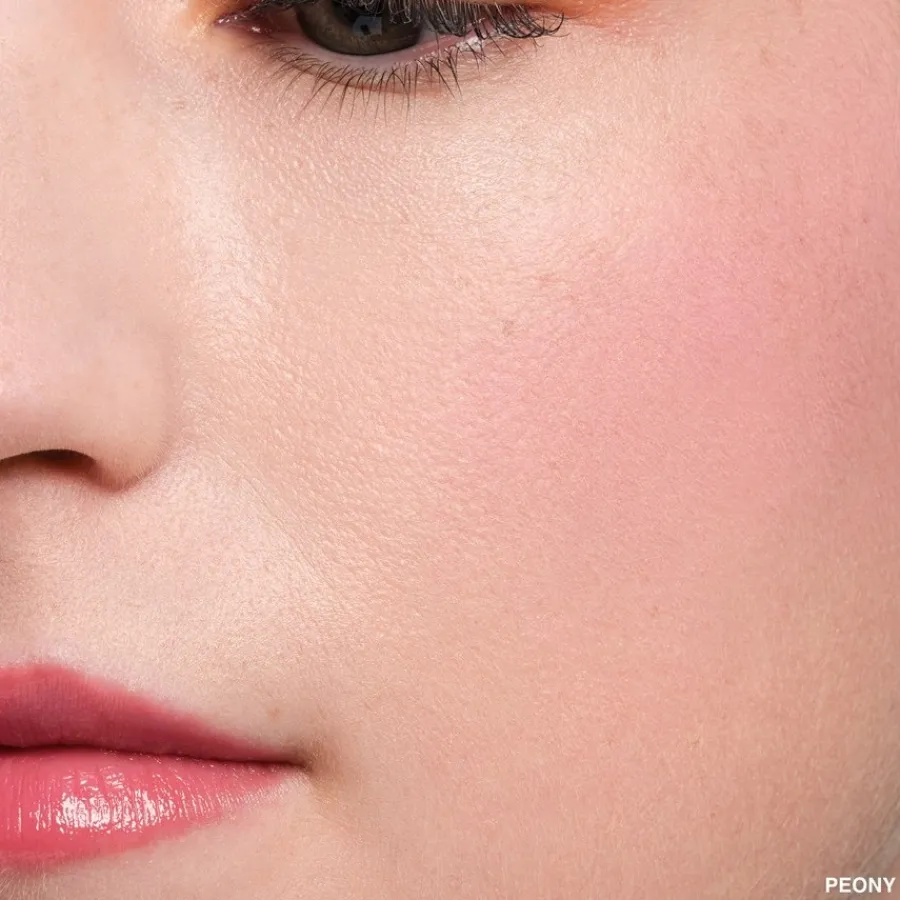 Bobbi Brown Wangen Pot Rouge Velvet Matte von