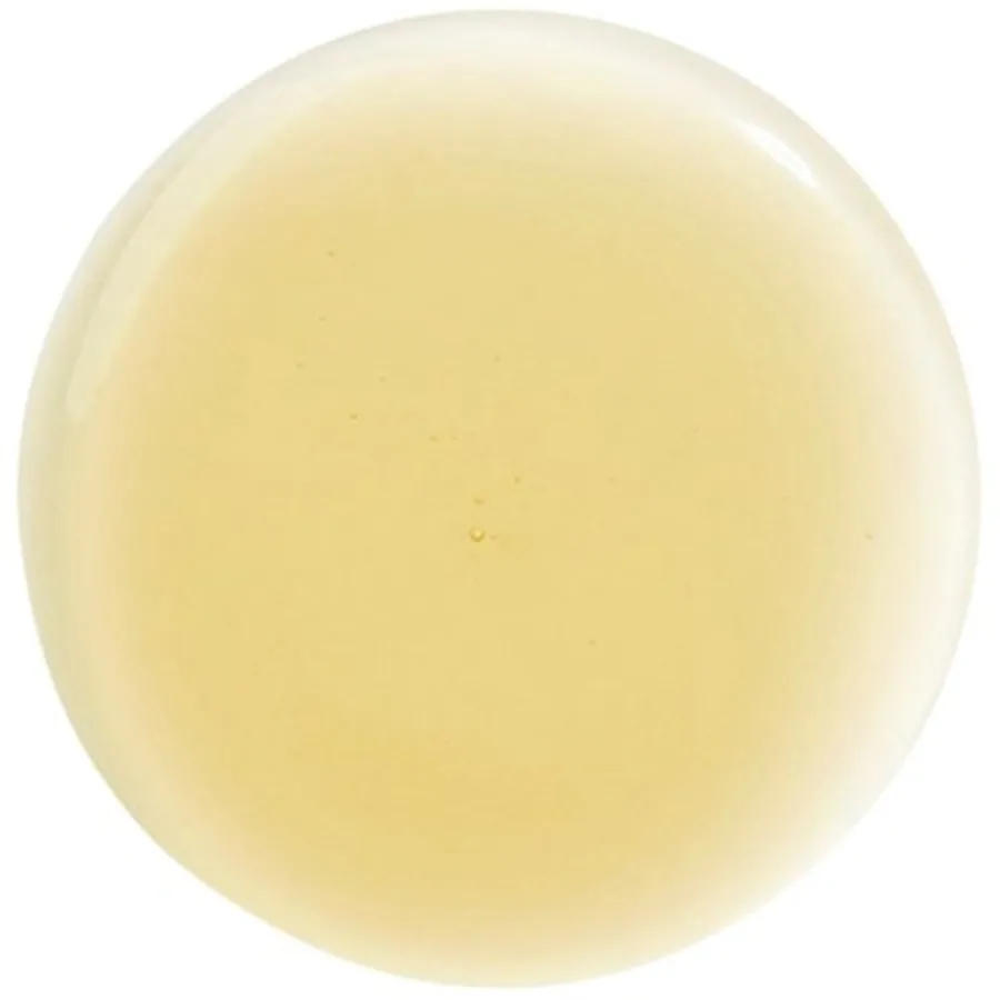 HAIR RITUEL by Sisley Waschen & Entwirren Revitalising Straightening Shampoo von