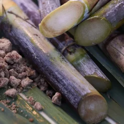 Shiseido WASO Satocane Pore Purifying Scrub Mask von Discount