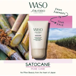Shiseido WASO Satocane Pore Purifying Scrub Mask von Discount