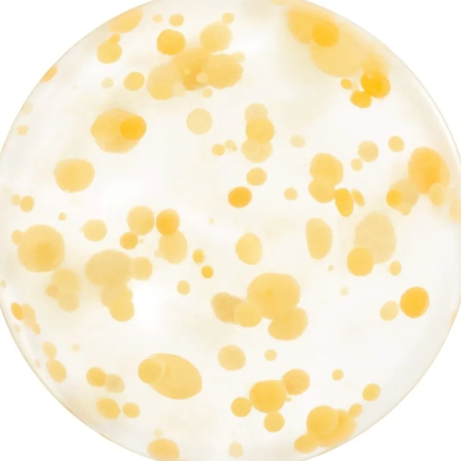 Shiseido WASO Yuzu-C Beauty Sleeping Mask von Outlet