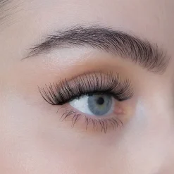 Sweed Wimpern Pro Lashes Iconic von Clearance