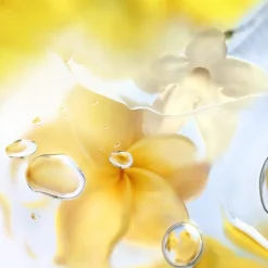 Lancu00F4me Ô de Lancome Eau de Toilete Spray Ô Zenith von Lancôme Hot