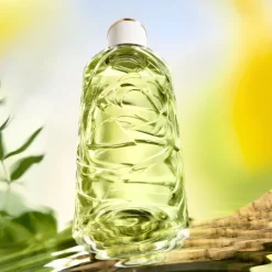 Lancu00F4me Ô de Lancome Eau de Toilette Spray Ôff Now von Lancôme