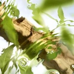 Lancu00F4me Ô de Lancome Eau de Toilette Spray Ôff Now von Lancôme