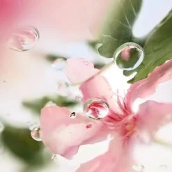 Lancu00F4me Ô de Lancome Eau de Toilette Spray Ôver The Top von Lancôme